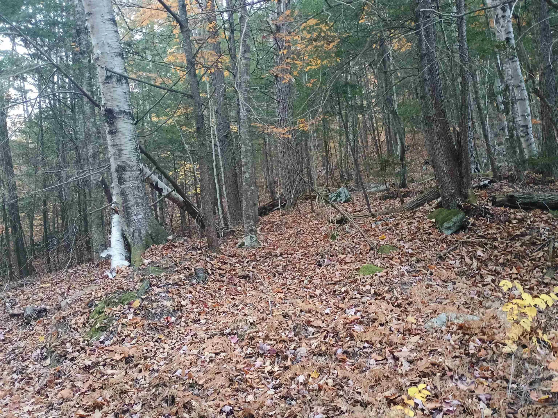 Map 234 Lot 4 Nye Road Acworth NH 03601