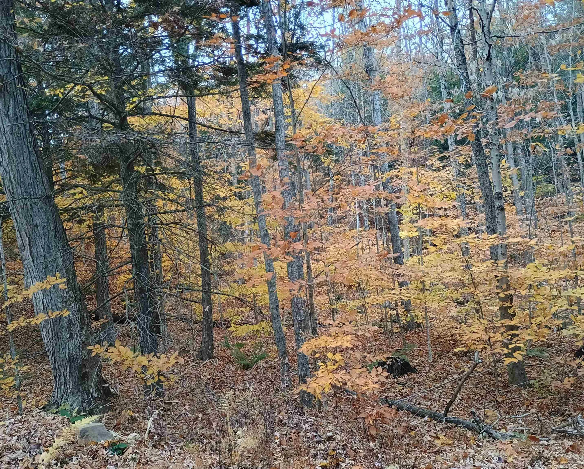 Map 234 Lot 4 Nye Road Acworth NH 03601