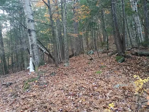 Map 234 Lot 4 Nye Road Acworth NH 03601