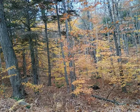 Map 234 Lot 4 Nye Road Acworth NH 03601