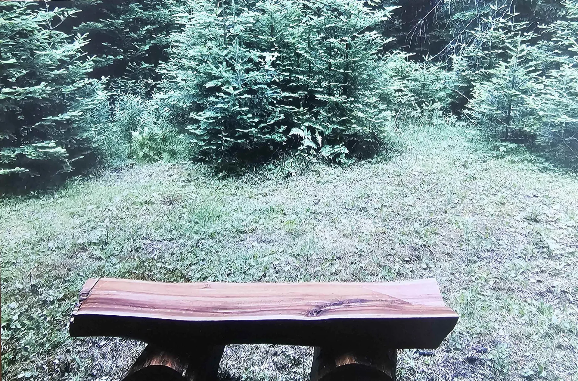 321 Marshall Hill Road Columbia NH 03576