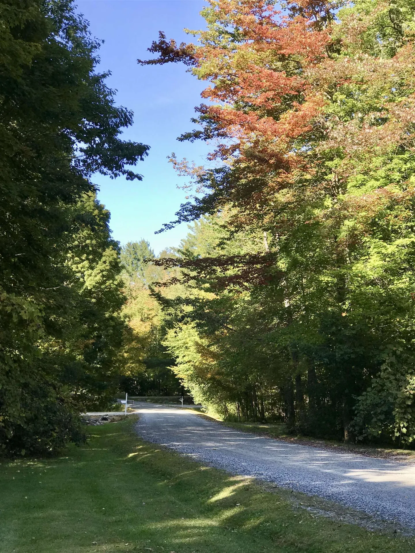 251 Hillcrest Road Manchester VT 05255