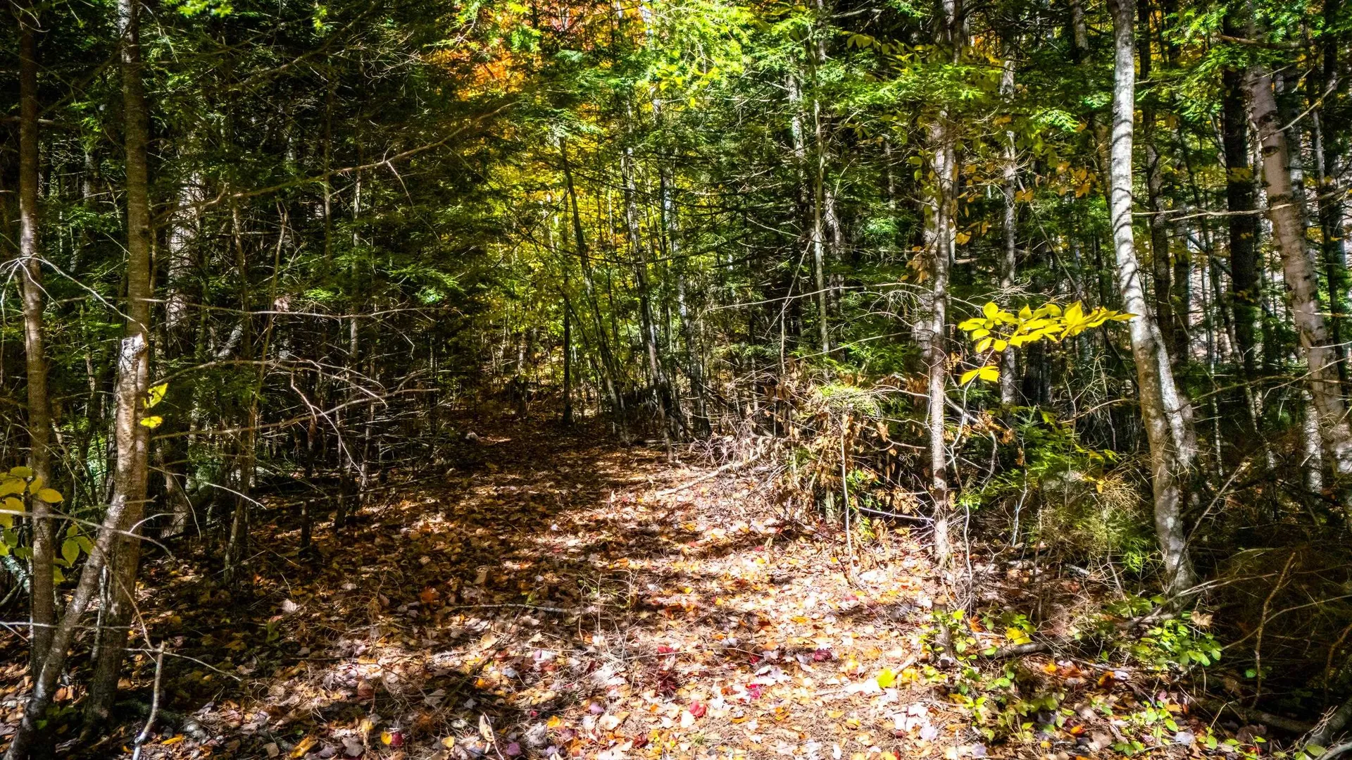 00 Glen Ledge Road Bartlett NH 03838