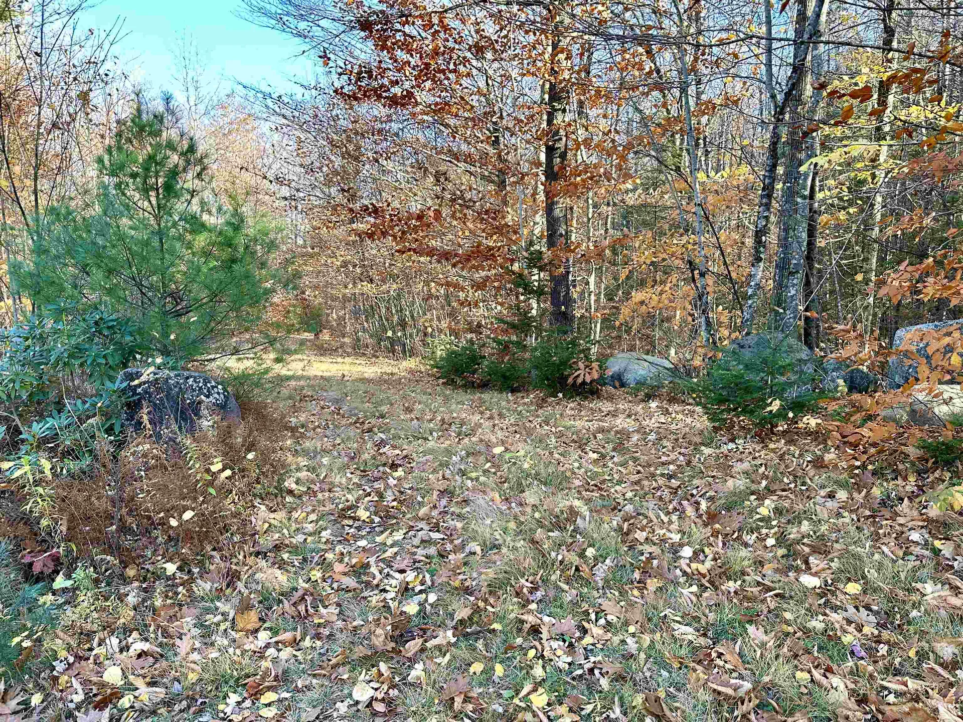 52 Danbury Woods Road Danbury NH 03230