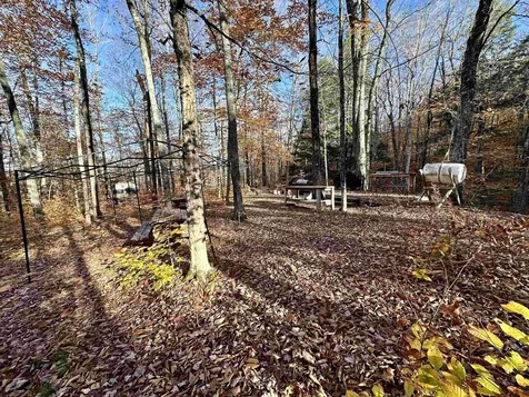 52 Danbury Woods Road Danbury NH 03230