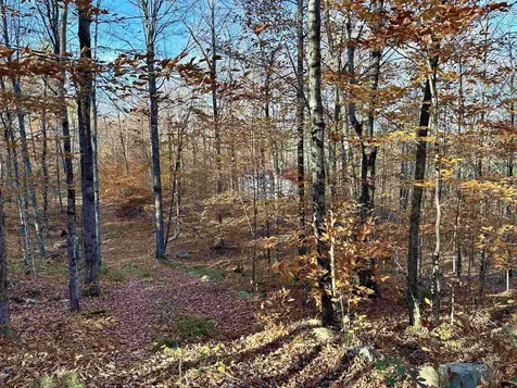 52 Danbury Woods Road Danbury NH 03230