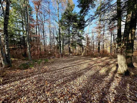 52 Danbury Woods Road Danbury NH 03230