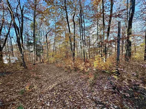 52 Danbury Woods Road Danbury NH 03230