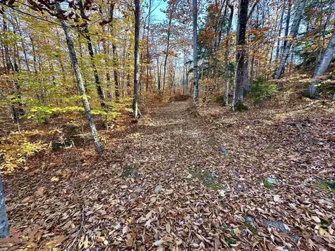 52 Danbury Woods Road Danbury NH 03230