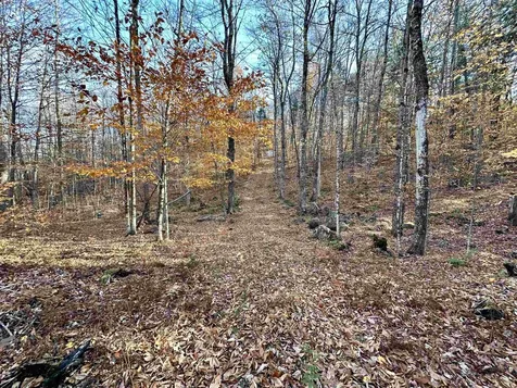 52 Danbury Woods Road Danbury NH 03230