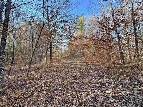 52 Danbury Woods Road Danbury NH 03230