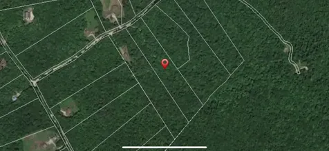 52 Danbury Woods Road Danbury NH 03230