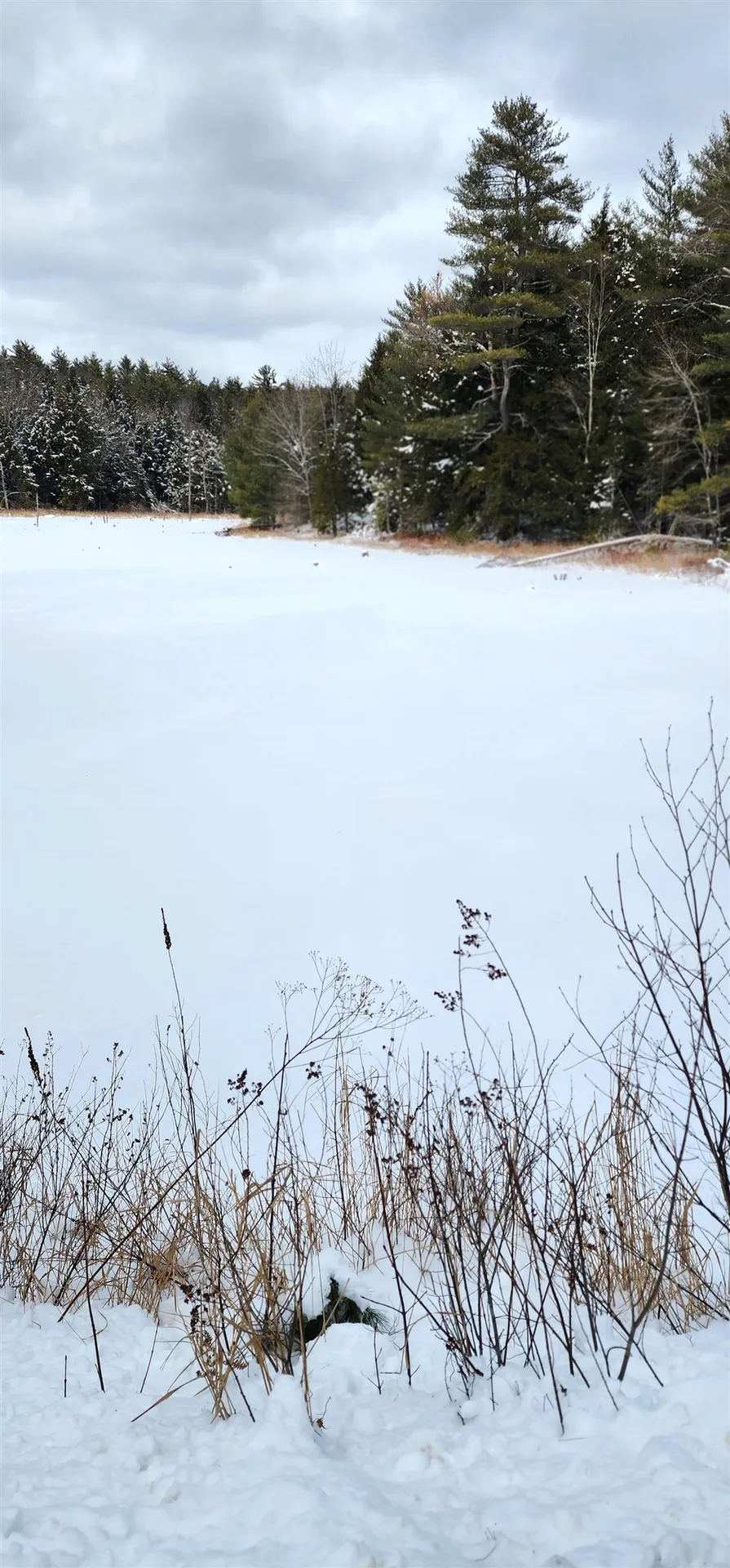 35 Spruce Court Barnstead NH 03218