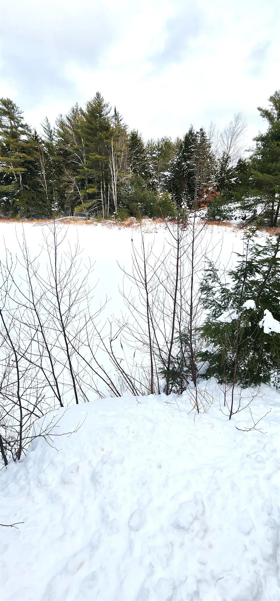 35 Spruce Court Barnstead NH 03218