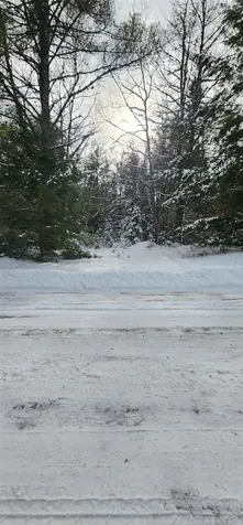 35 Spruce Court Barnstead NH 03218