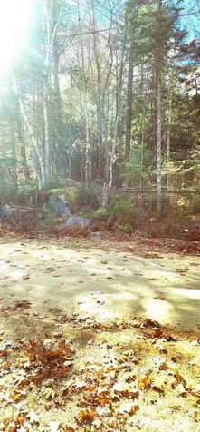 35 Spruce Court Barnstead NH 03218