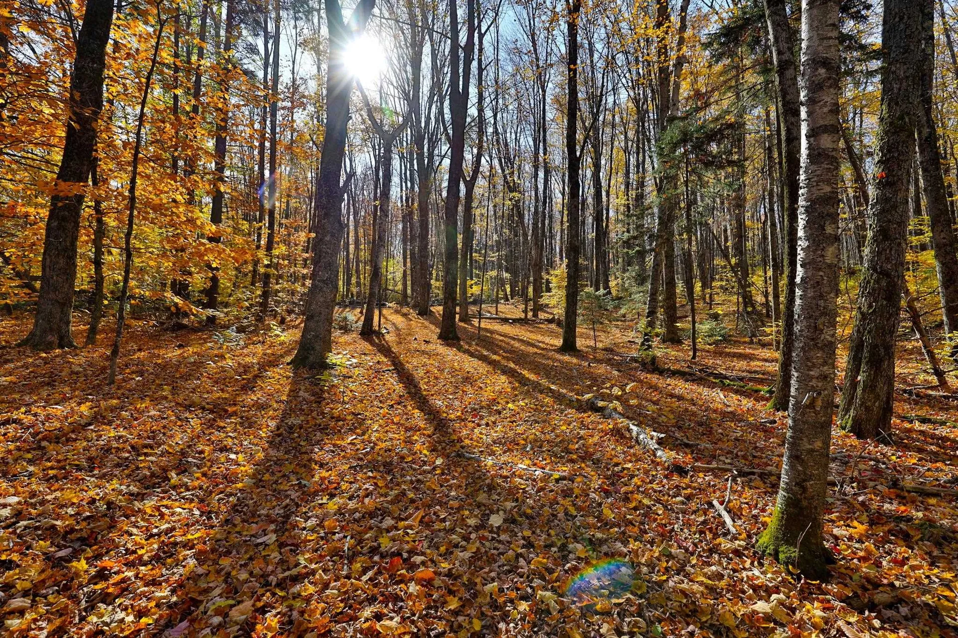 2210 Sugar Hill Road Wallingford VT 05742