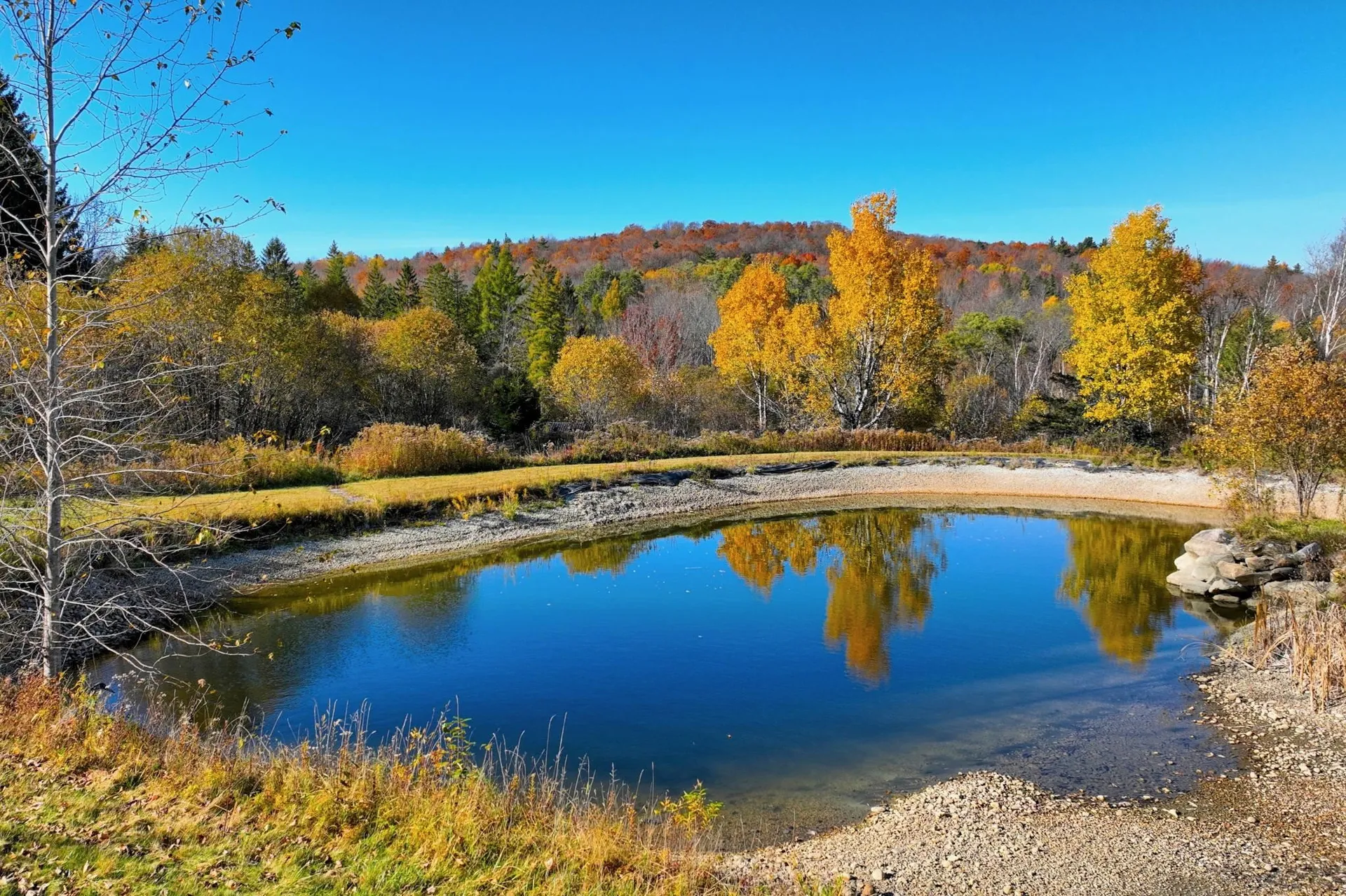 2210 Sugar Hill Road Wallingford VT 05742