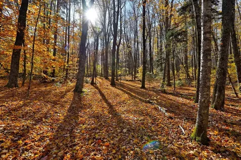 2210 Sugar Hill Road Wallingford VT 05742