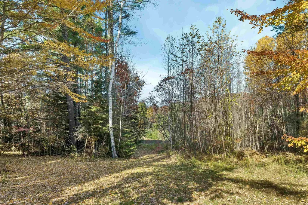 31 Hillcrest Drive Tuftonboro NH 03850