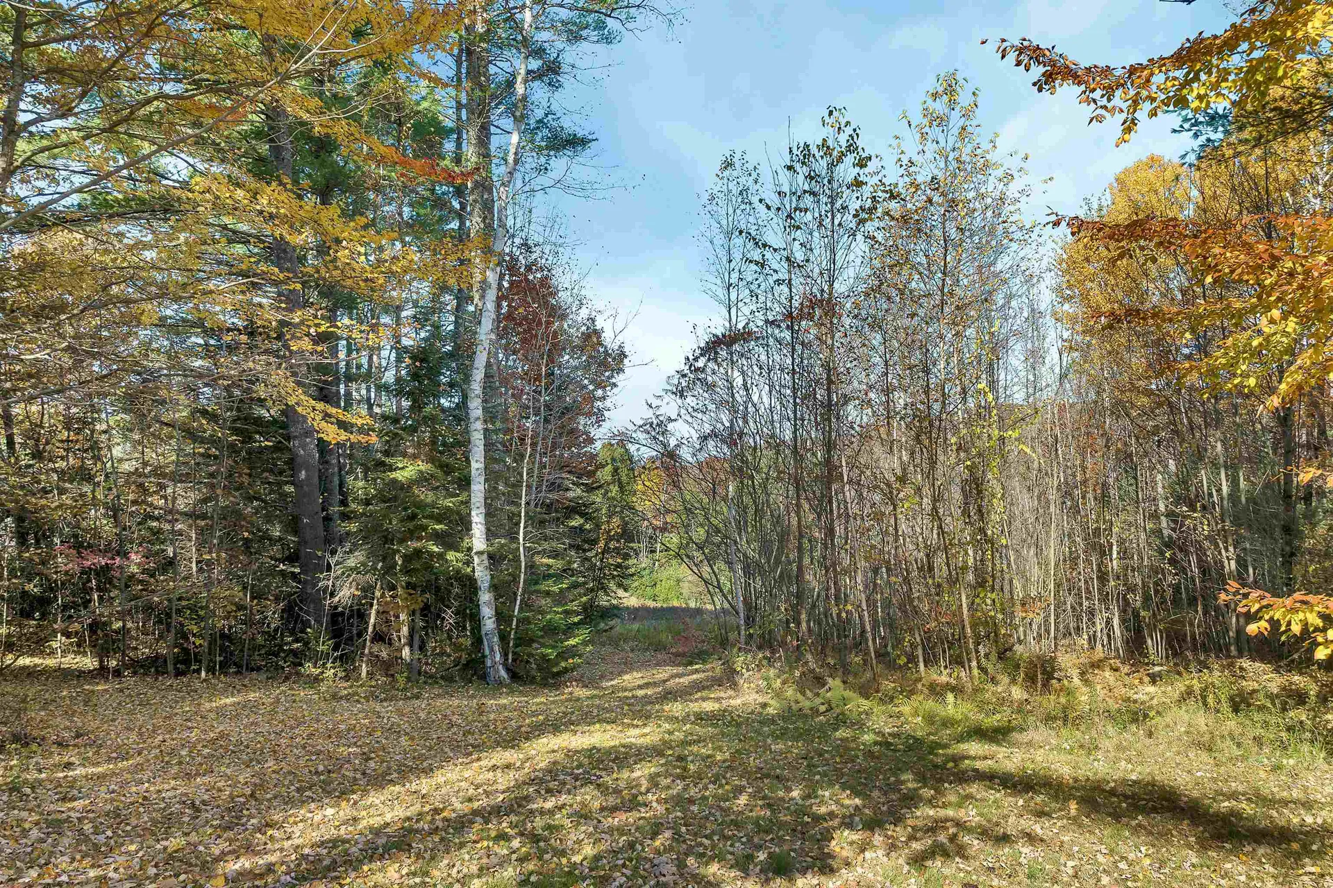 31 Hillcrest Drive Tuftonboro NH 03850