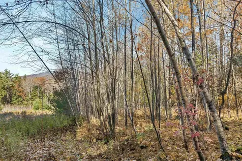 31 Hillcrest Drive Tuftonboro NH 03850