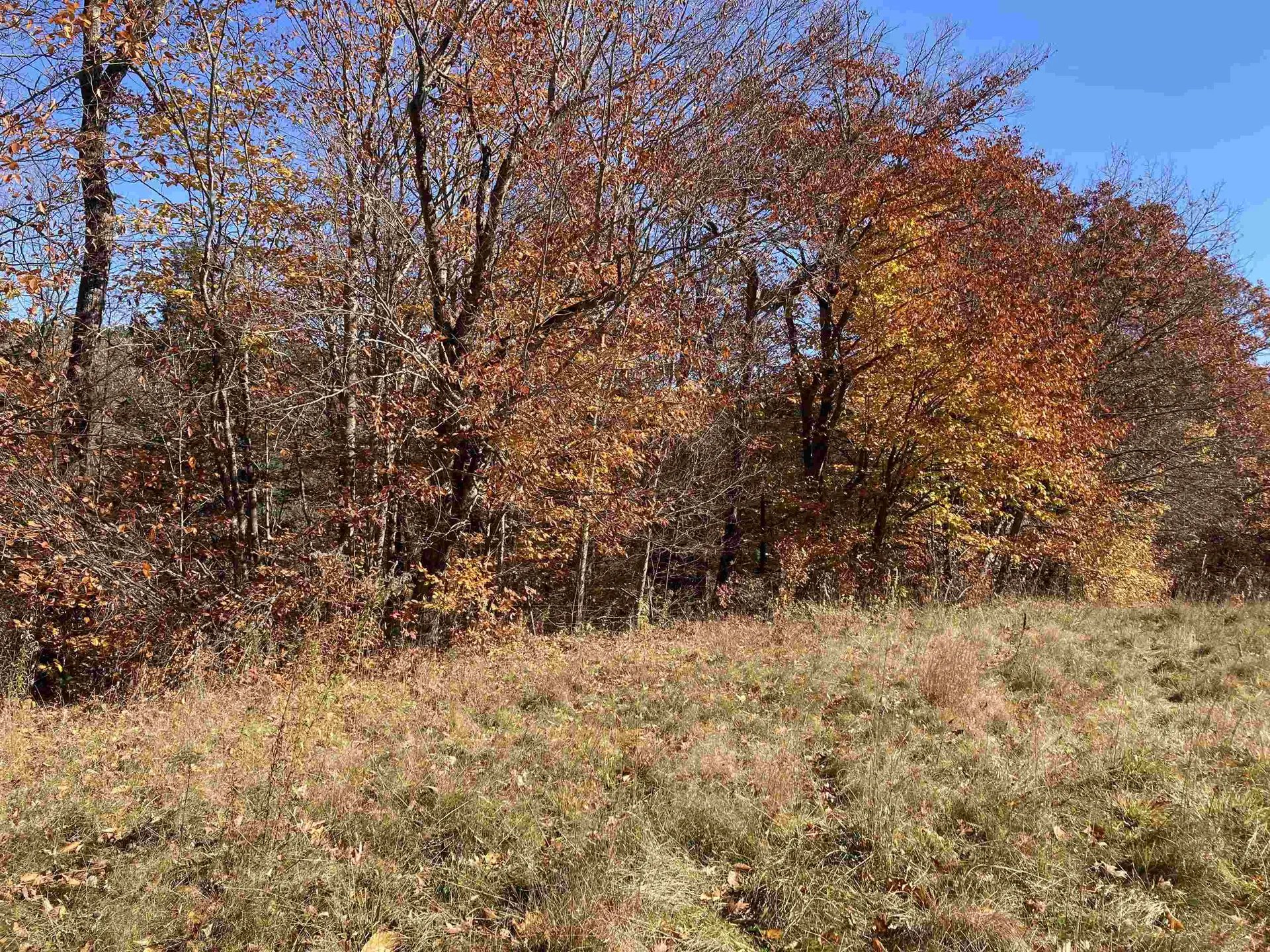 Cherry Hill Road Grafton NH 03240