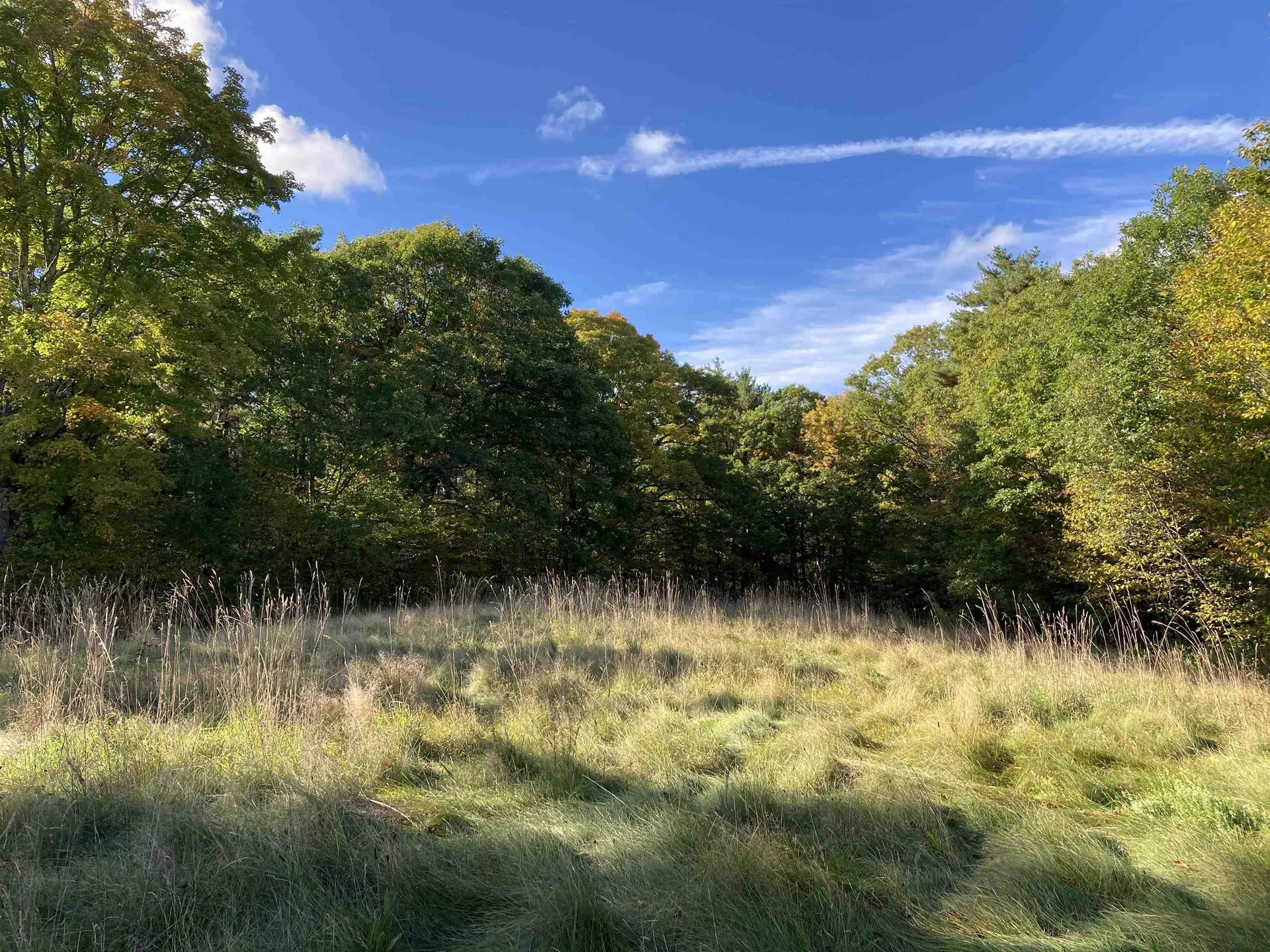 Cherry Hill Road Grafton NH 03240