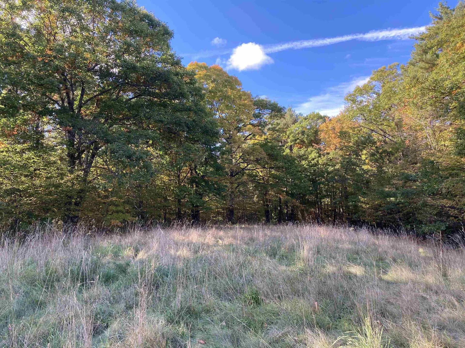 Cherry Hill Road Grafton NH 03240