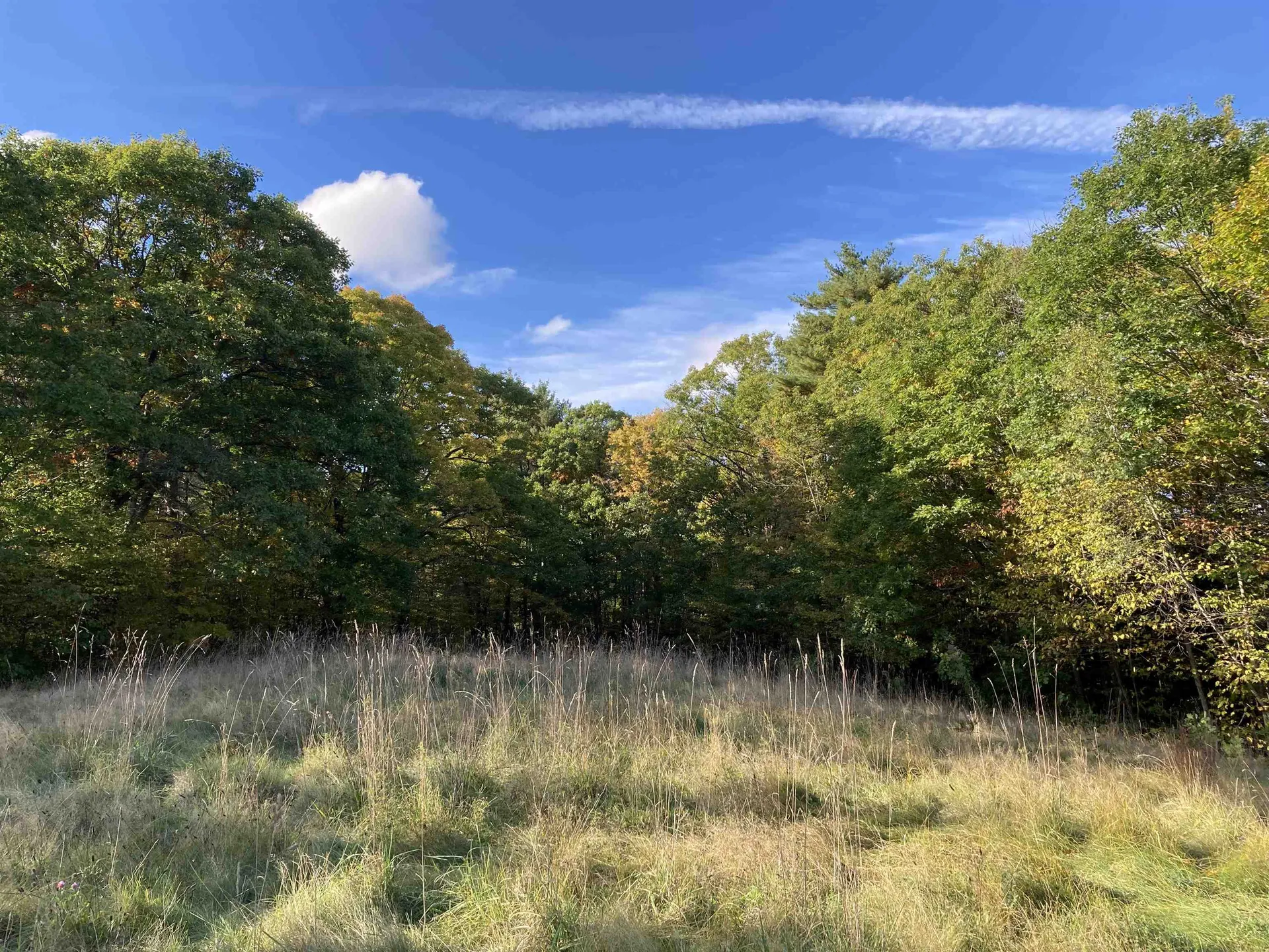 Cherry Hill Road Grafton NH 03240