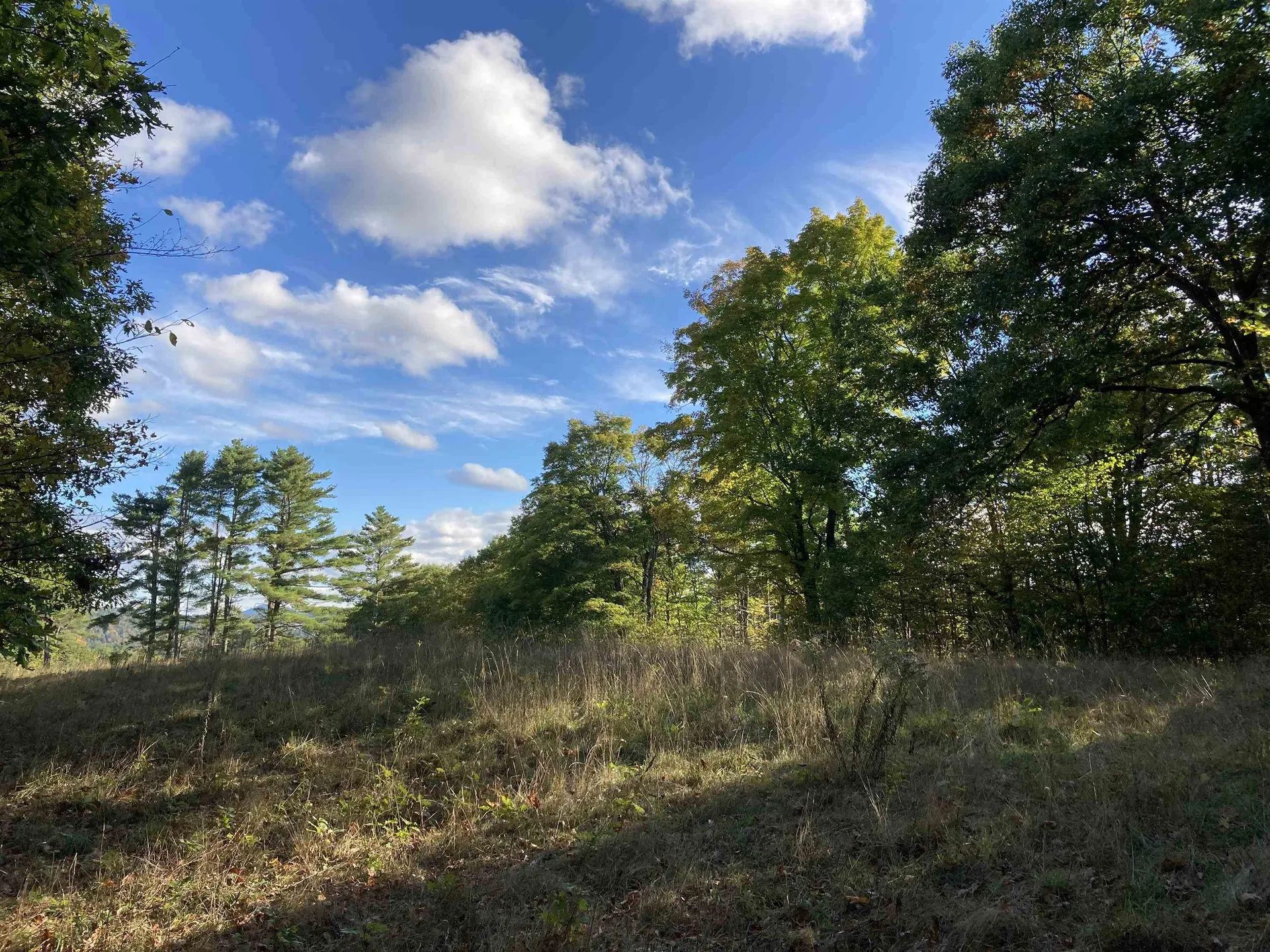 Cherry Hill Road Grafton NH 03240