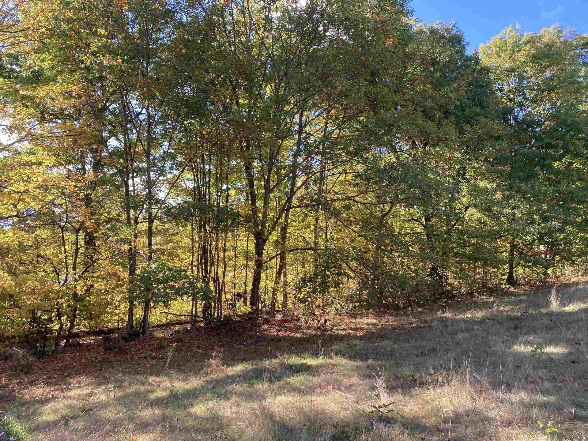 Cherry Hill Road Grafton NH 03240