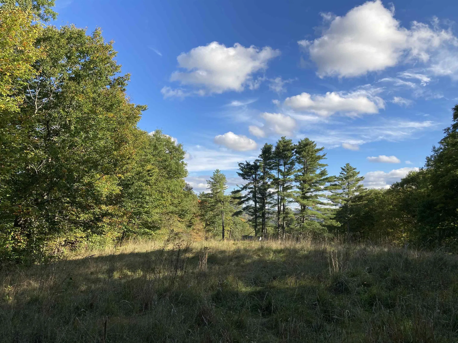 Cherry Hill Road Grafton NH 03240