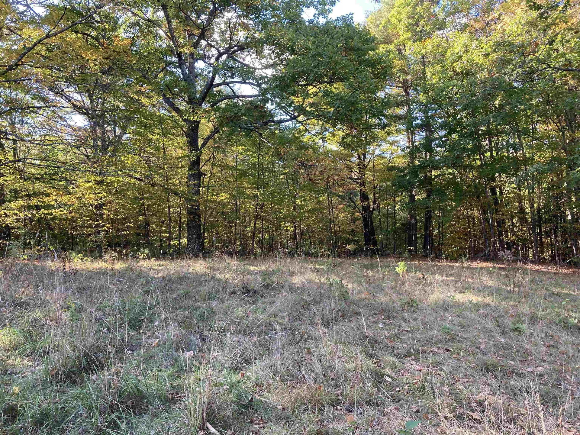 Cherry Hill Road Grafton NH 03240