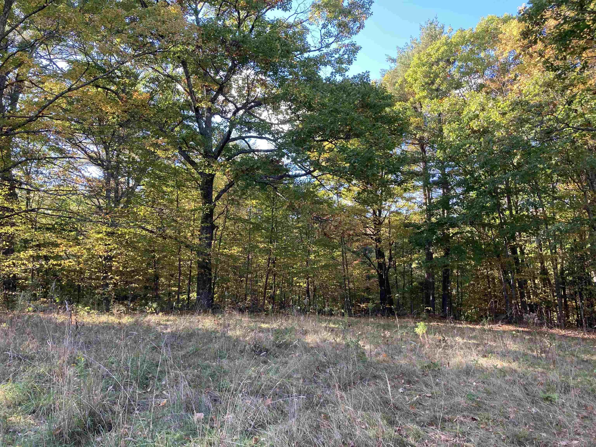 Cherry Hill Road Grafton NH 03240