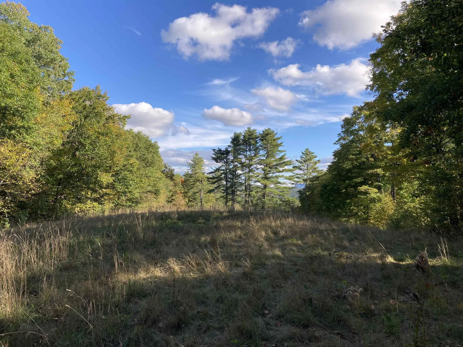 Cherry Hill Road Grafton NH 03240