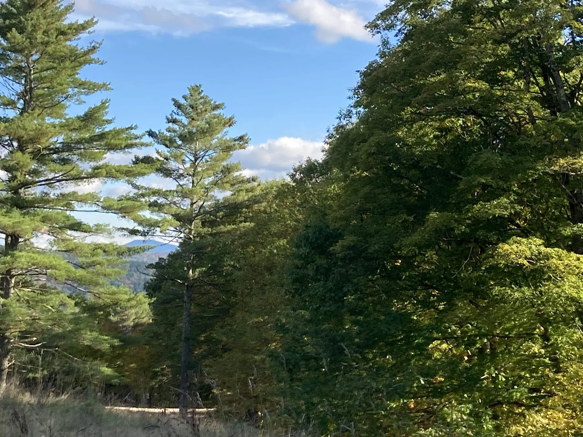 Cherry Hill Road Grafton NH 03240