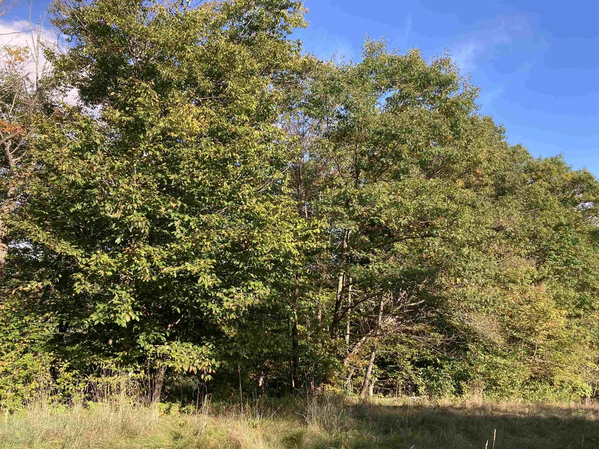 Cherry Hill Road Grafton NH 03240