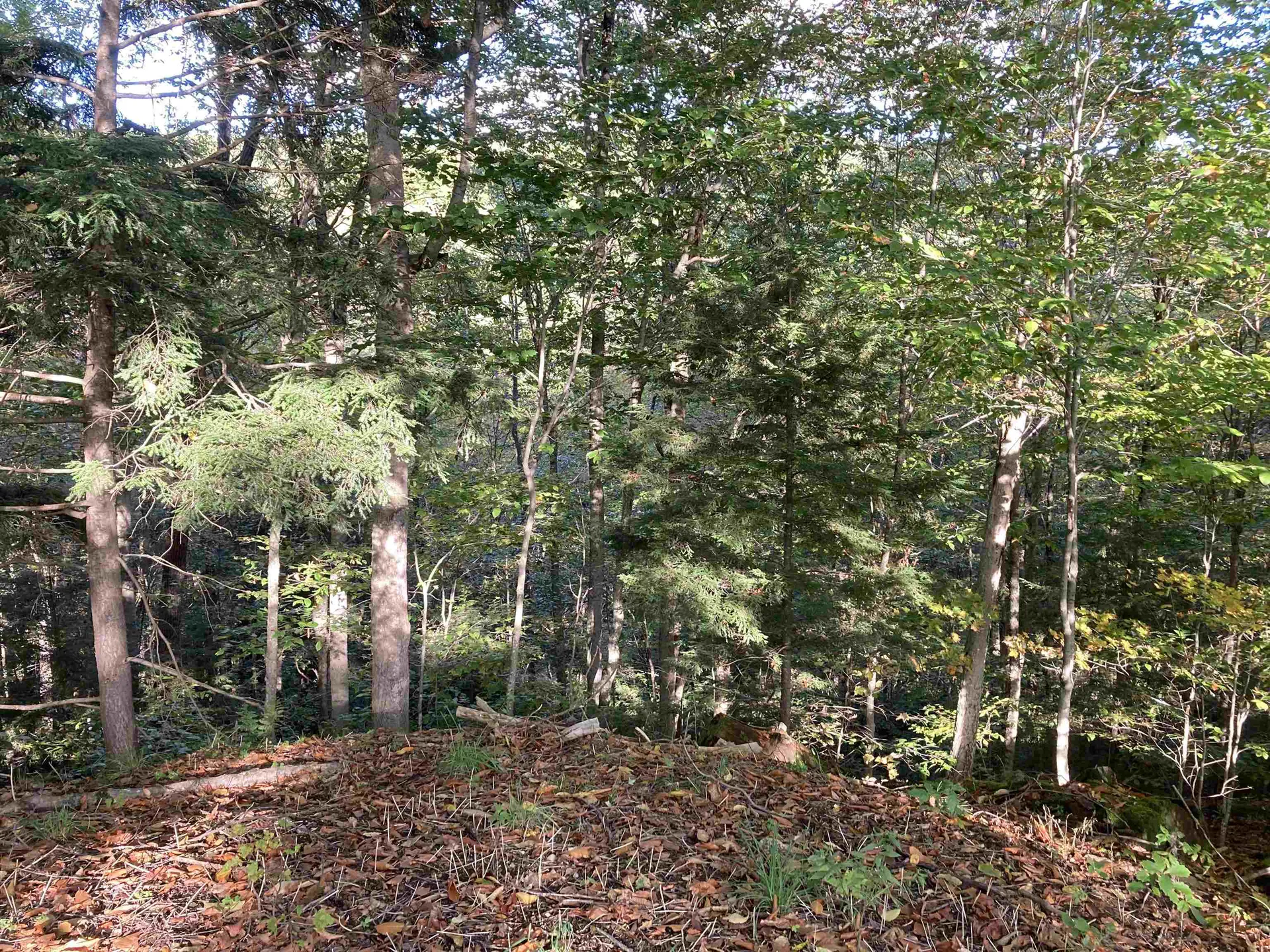 Cherry Hill Road Grafton NH 03240