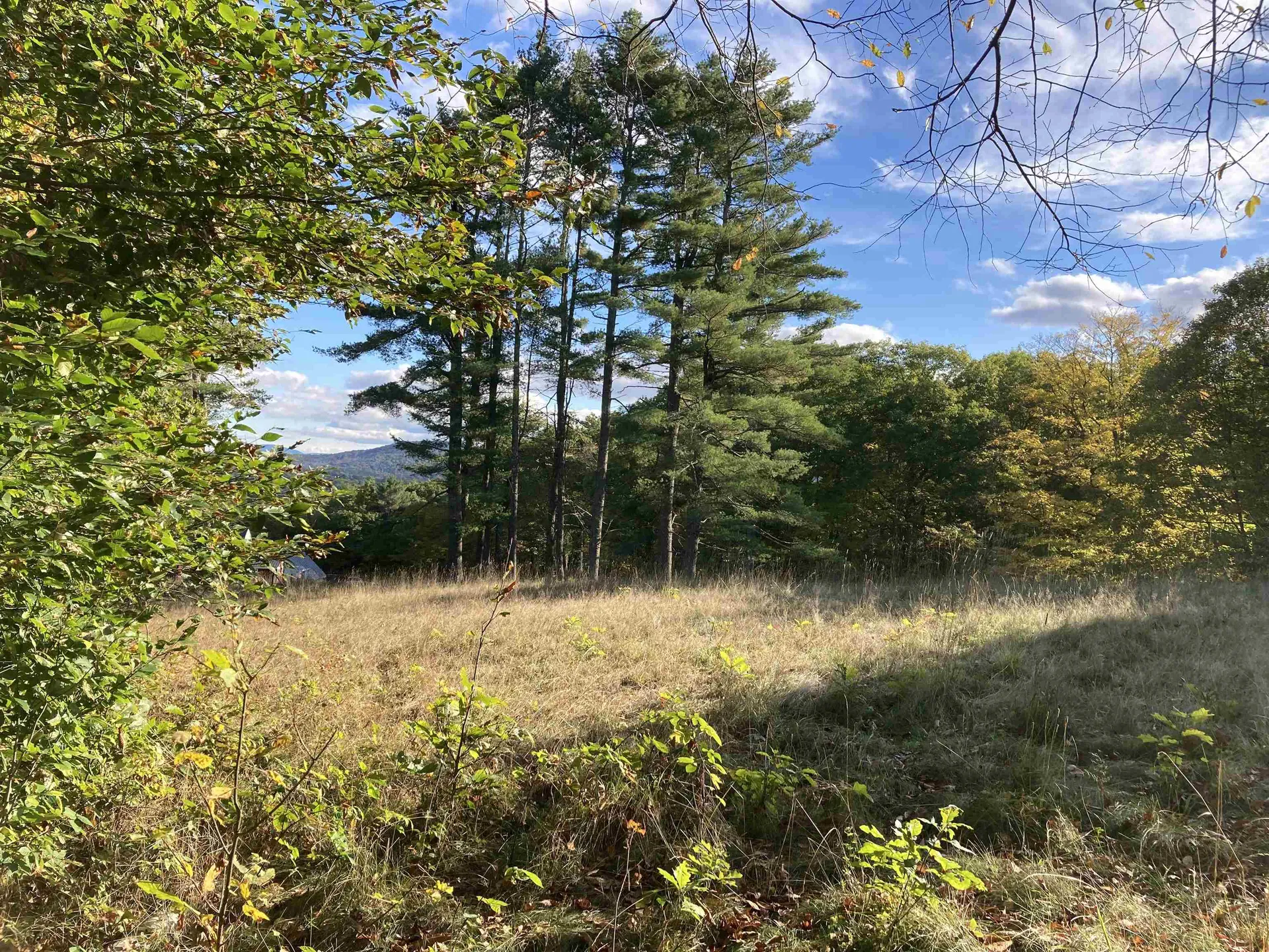 Cherry Hill Road Grafton NH 03240