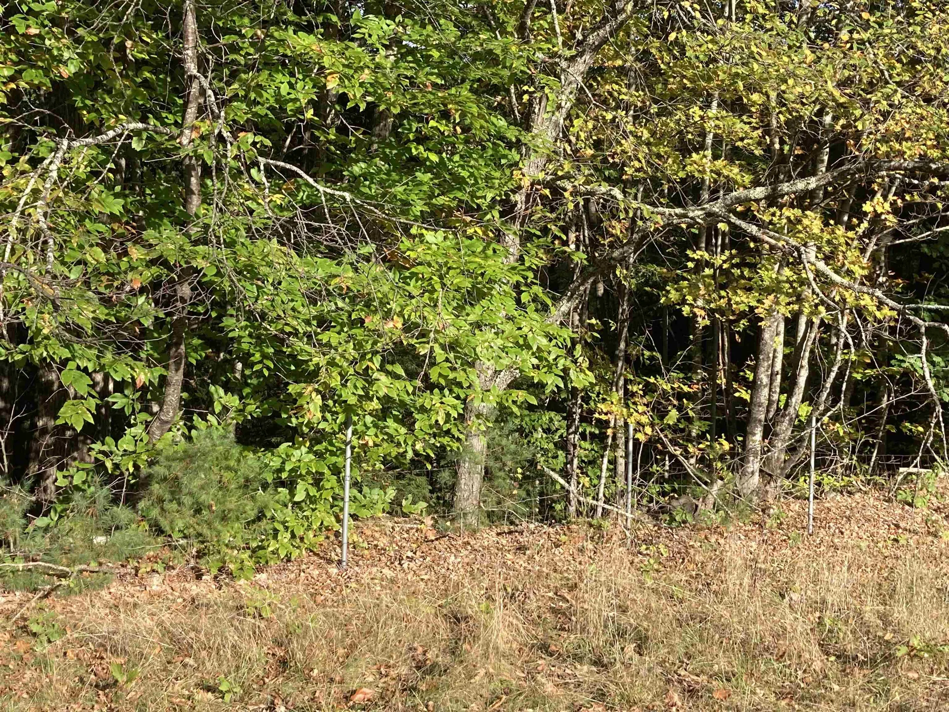 Cherry Hill Road Grafton NH 03240