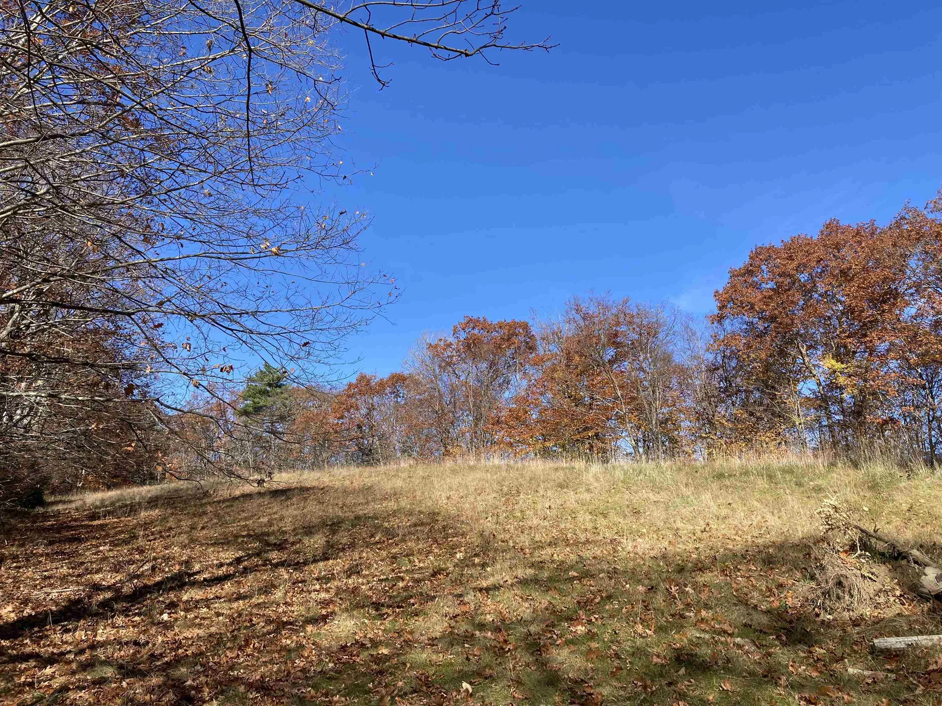 Cherry Hill Road Grafton NH 03240