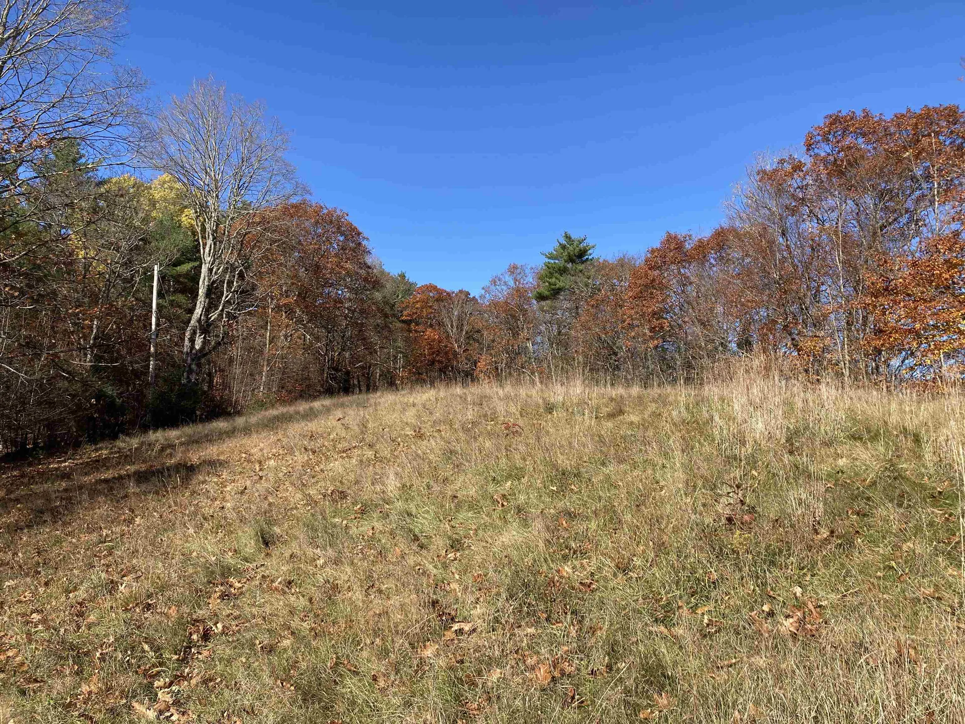 Cherry Hill Road Grafton NH 03240