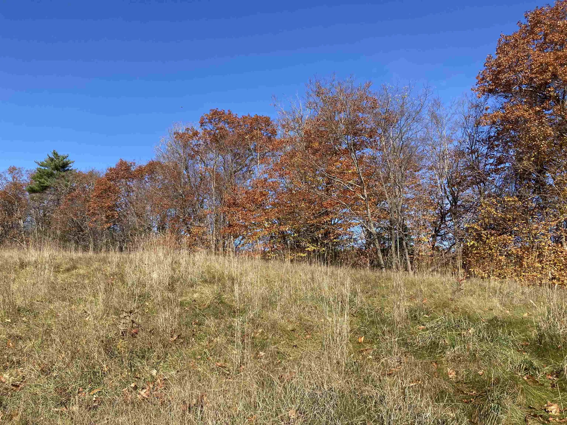 Cherry Hill Road Grafton NH 03240