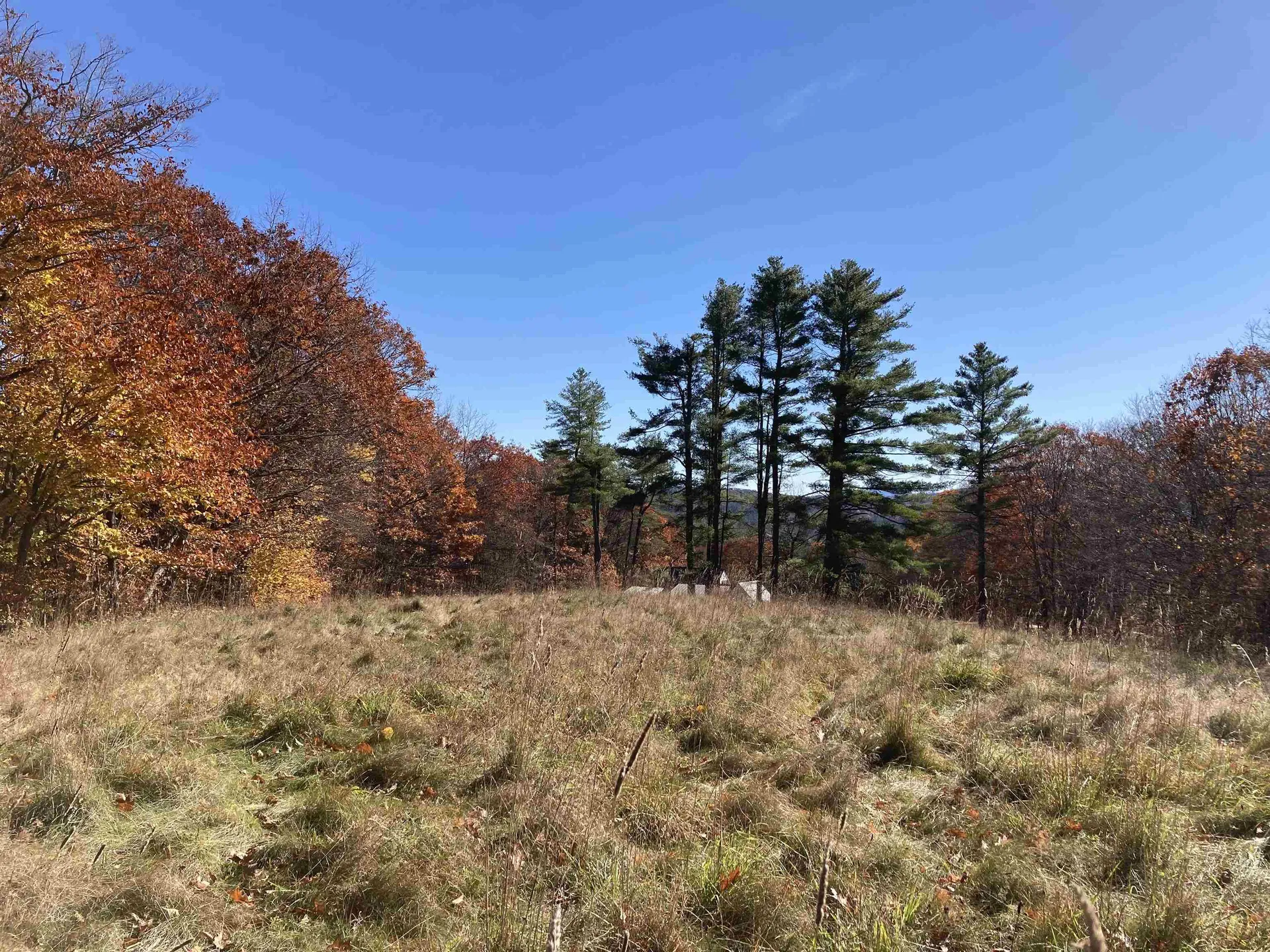 Cherry Hill Road Grafton NH 03240