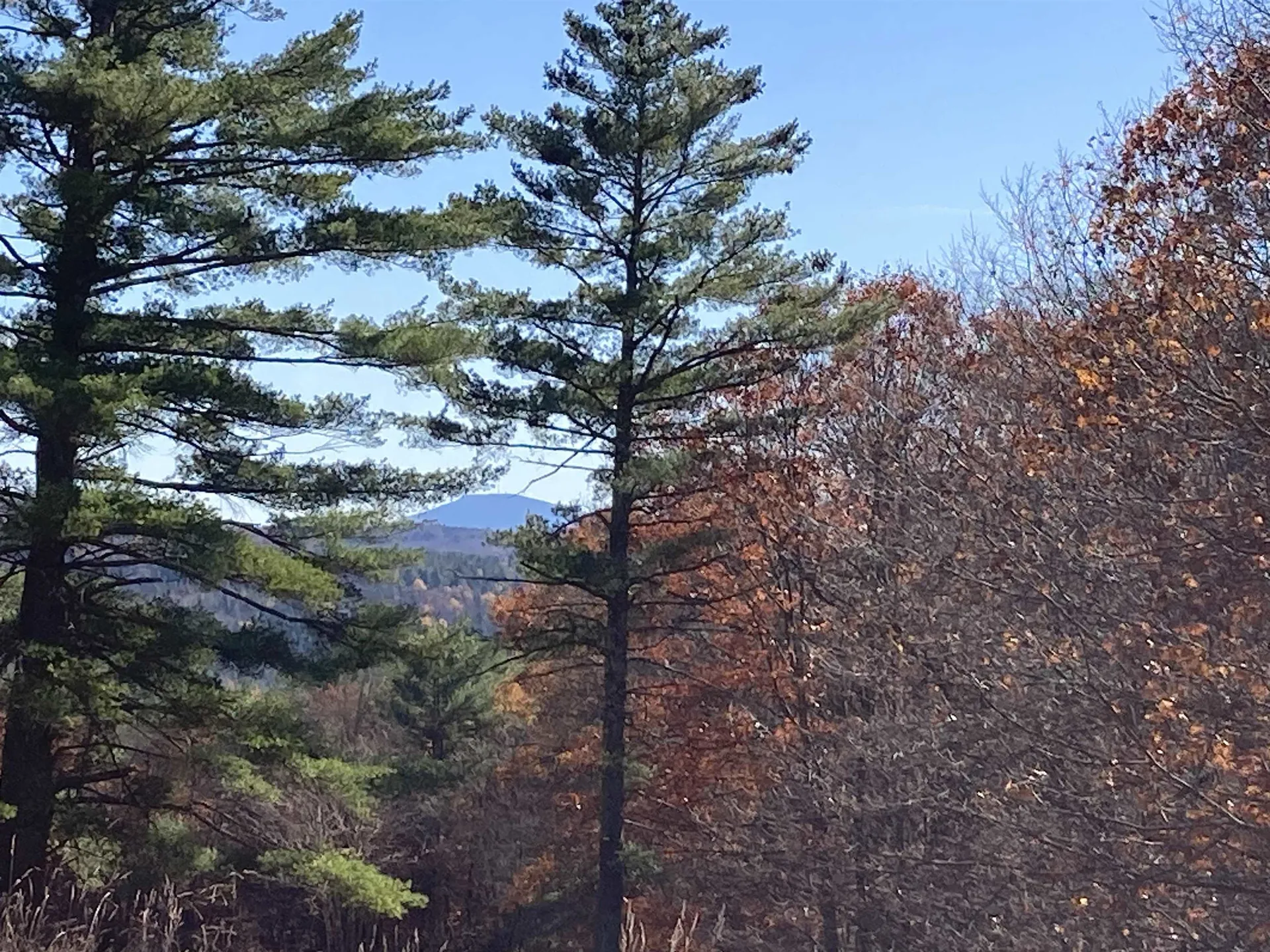 Cherry Hill Road Grafton NH 03240