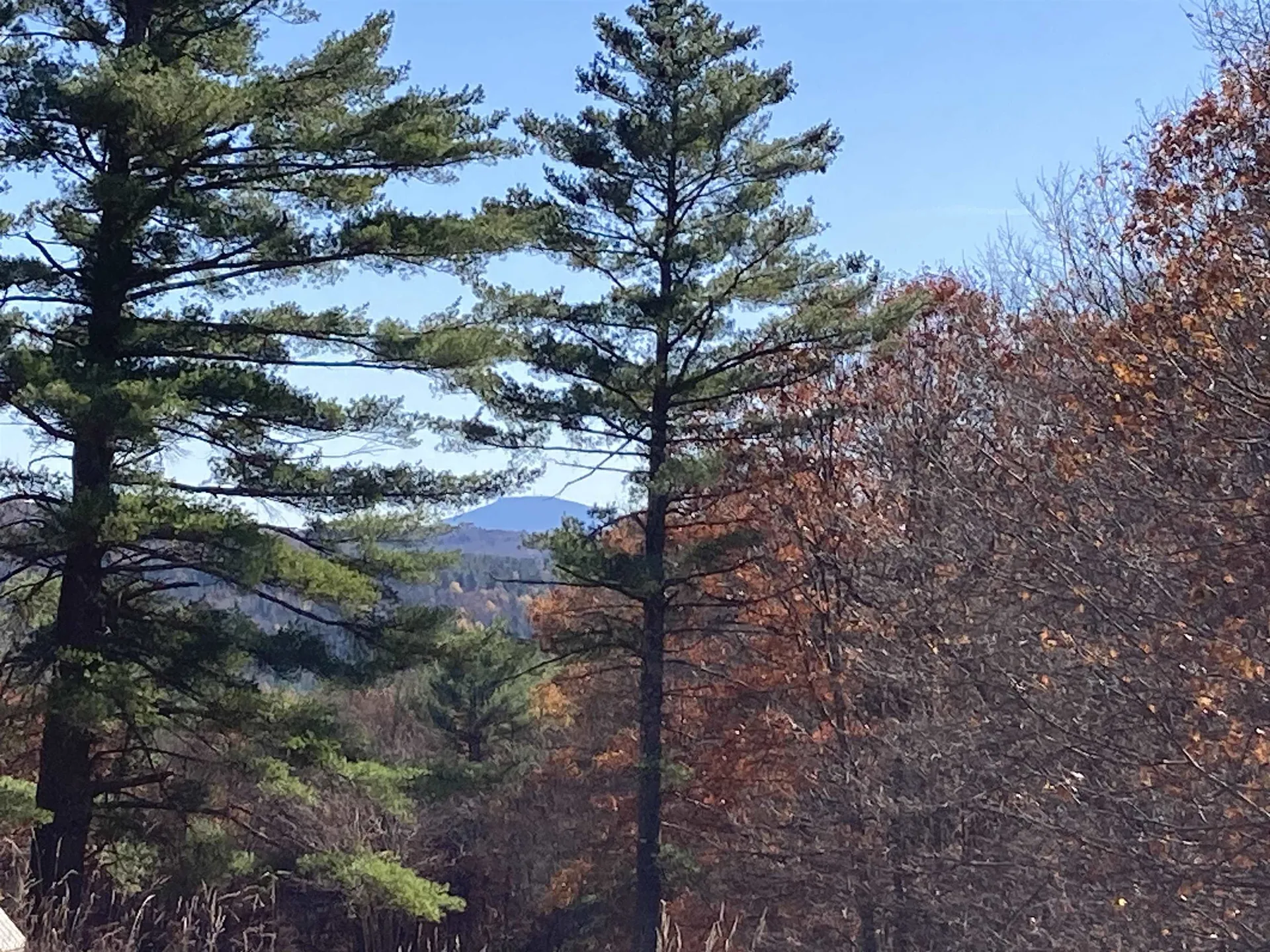 Cherry Hill Road Grafton NH 03240