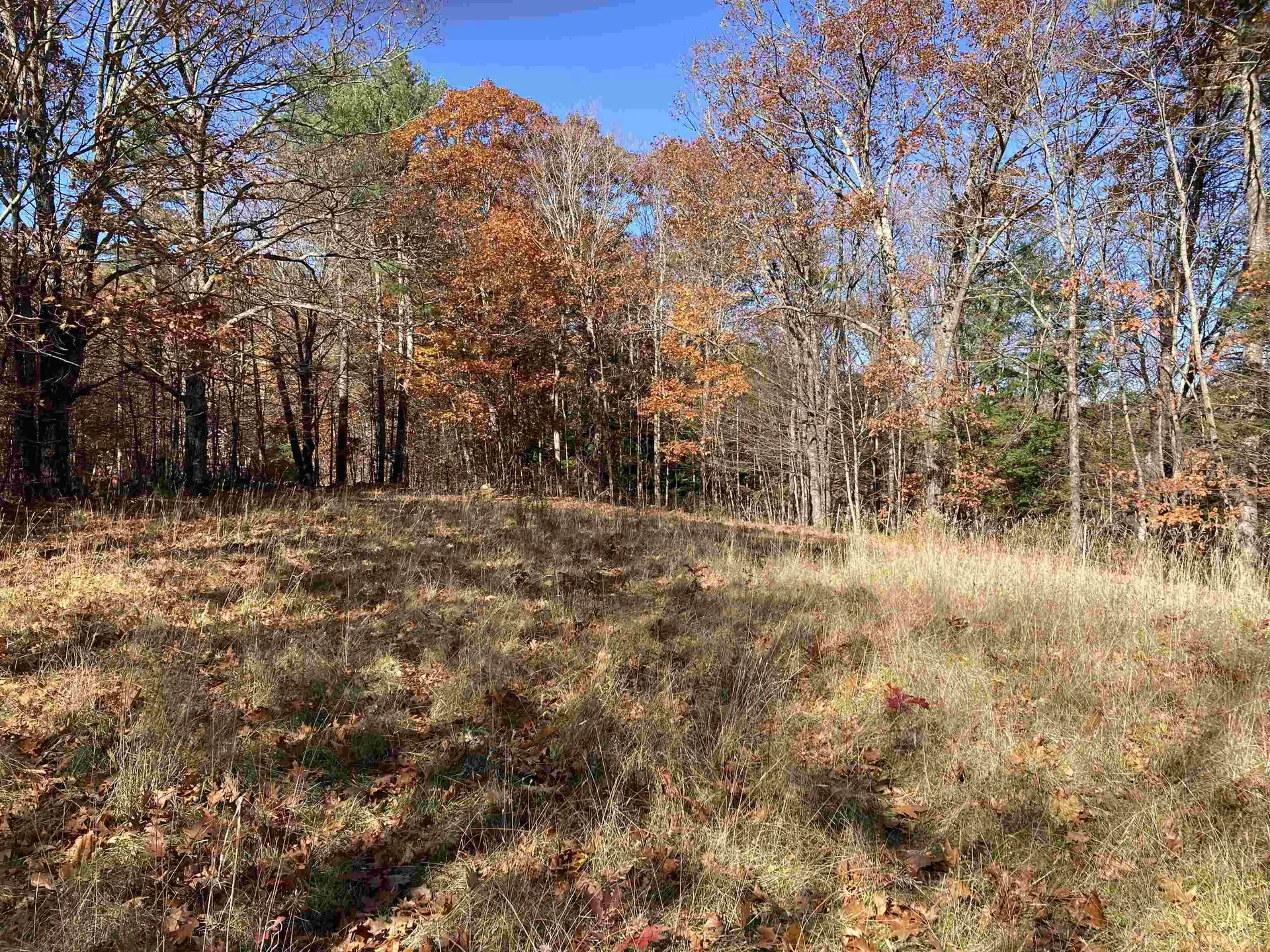 Cherry Hill Road Grafton NH 03240