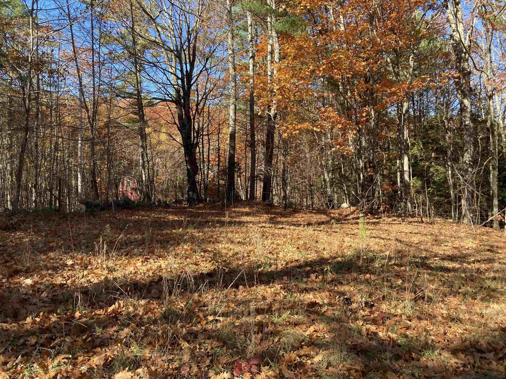 Cherry Hill Road Grafton NH 03240