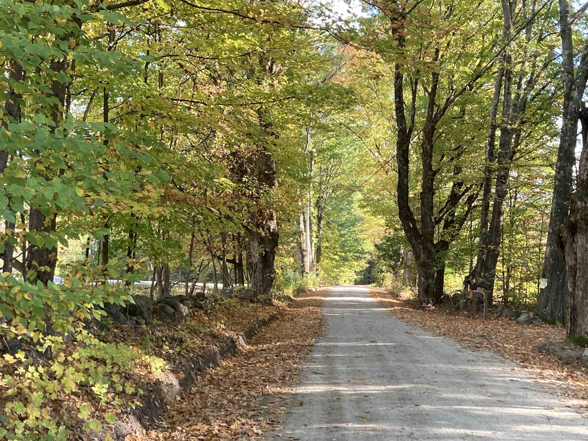 Cherry Hill Road Grafton NH 03240